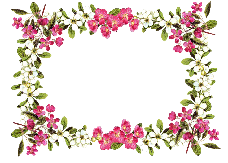 Flowers Borders Png Clipart PNG Image