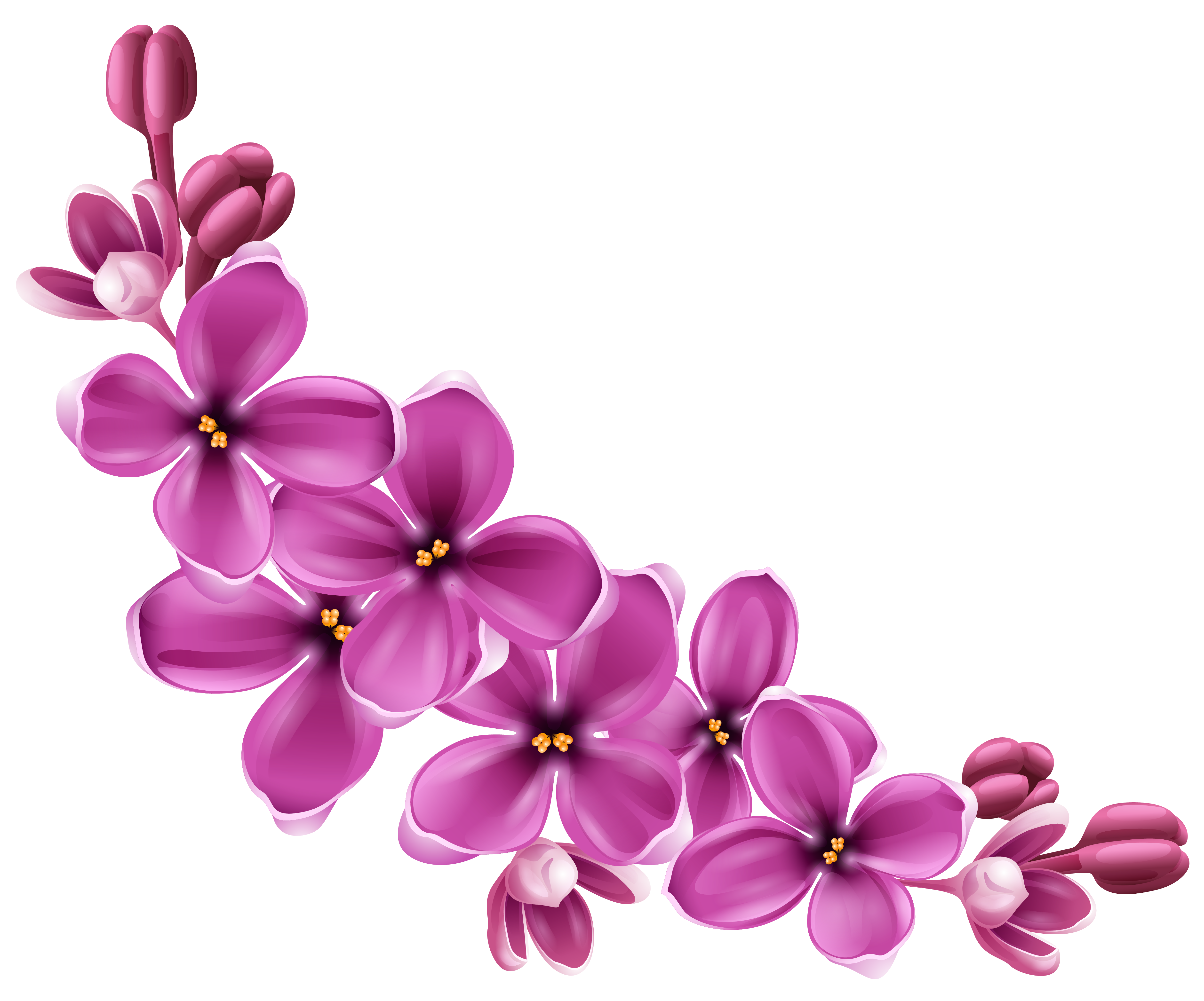Flowers Png 9 PNG Image