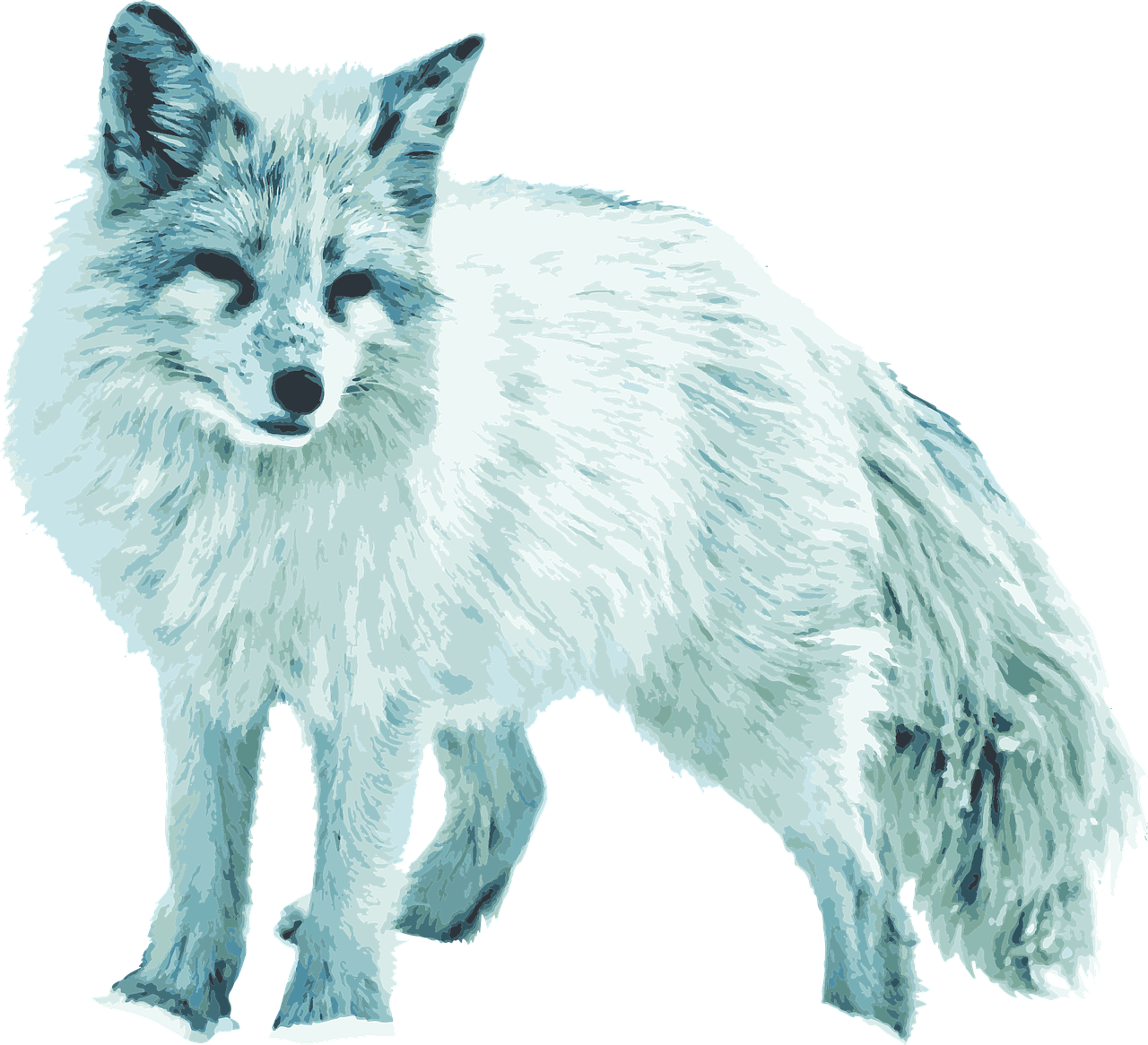 Arctic Fox Snow Download HQ PNG Image