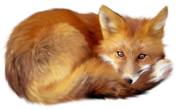 Artistic Fox Transparent PNG Image