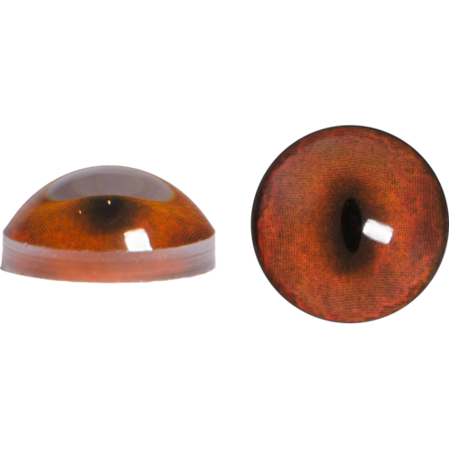 Fox Eyes Transparent PNG Image