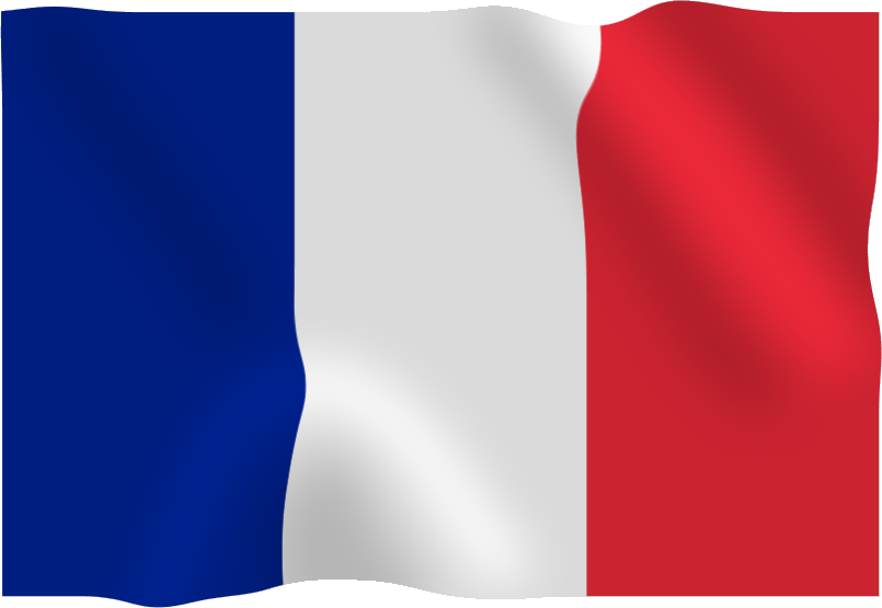 France Flag Png PNG Image