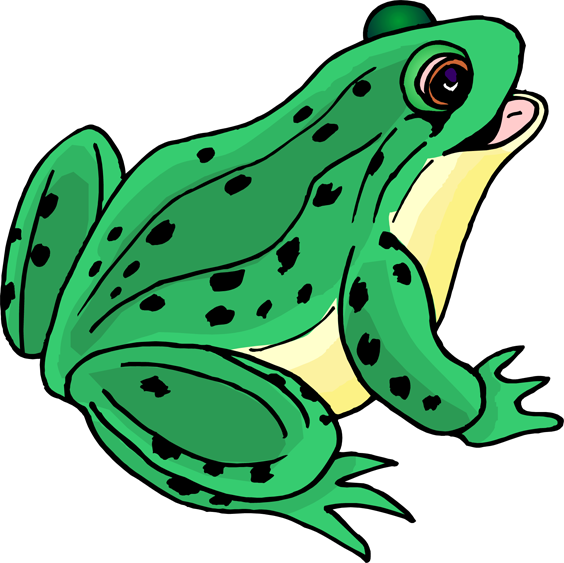 Frog Clip Art PNG Image