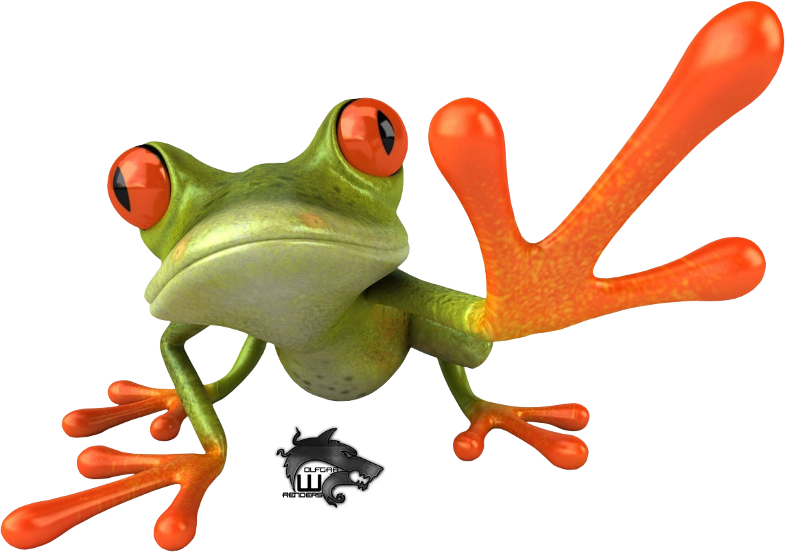 Frog Image PNG Image