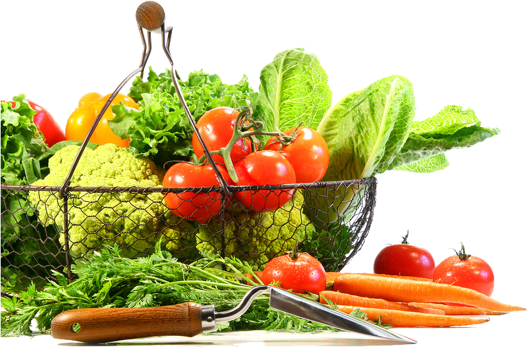 And Vegetables Fruits Free Transparent Image HQ PNG Image