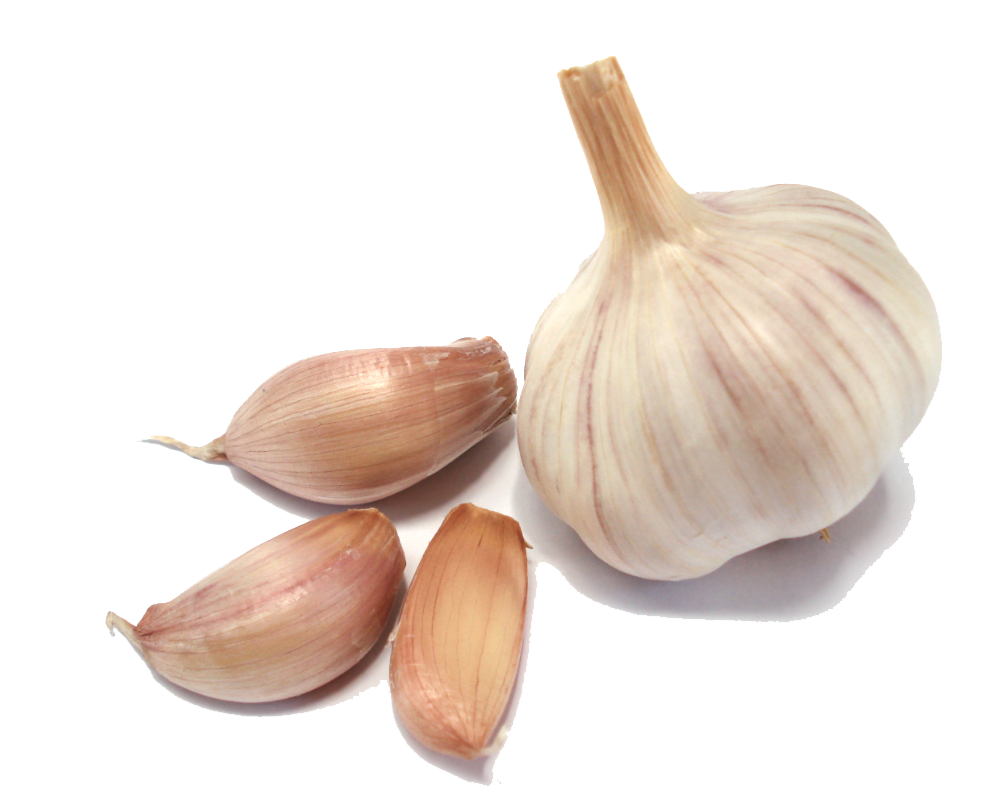 Garlic Png Clipart PNG Image