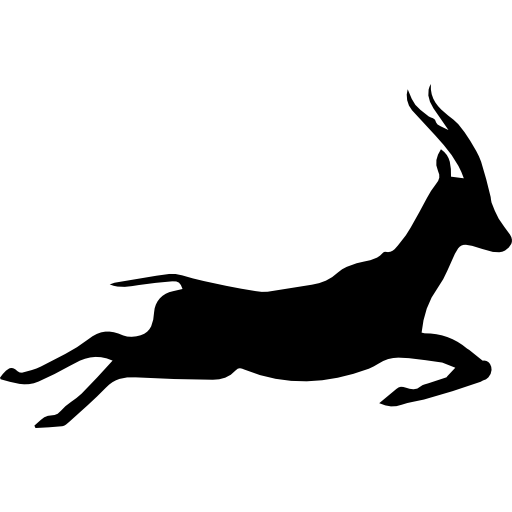 Gazelle Image PNG Image