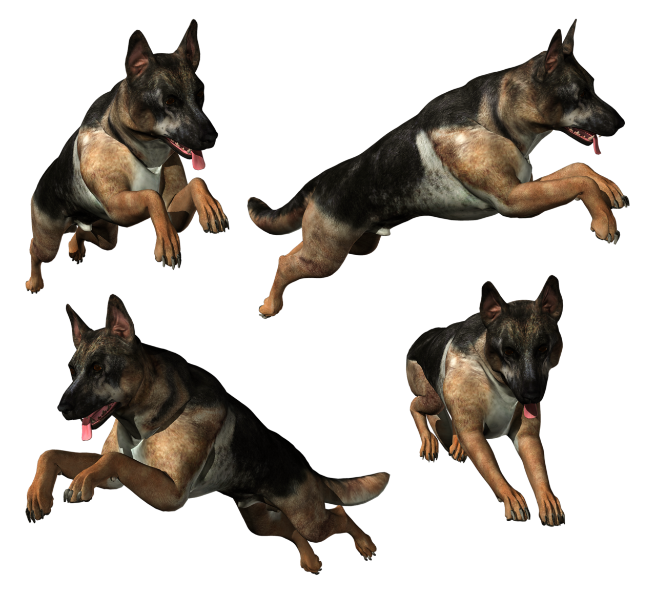 German Shepherd PNG Image