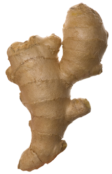 Ginger PNG Image