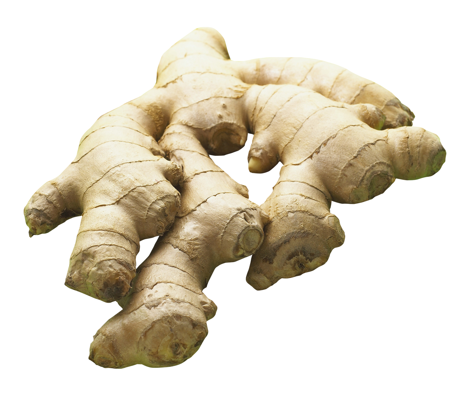 Ginger PNG Image