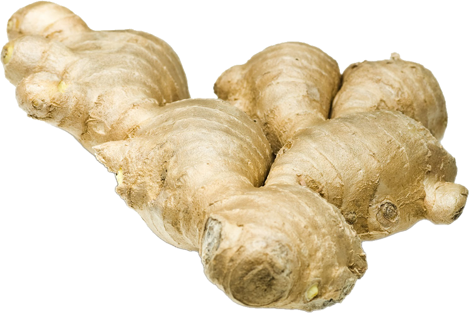 Ginger PNG Image