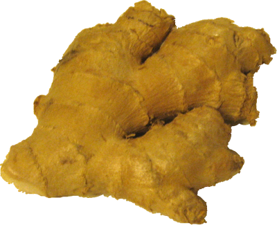 Ginger PNG Image