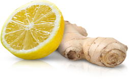 Ginger PNG Image