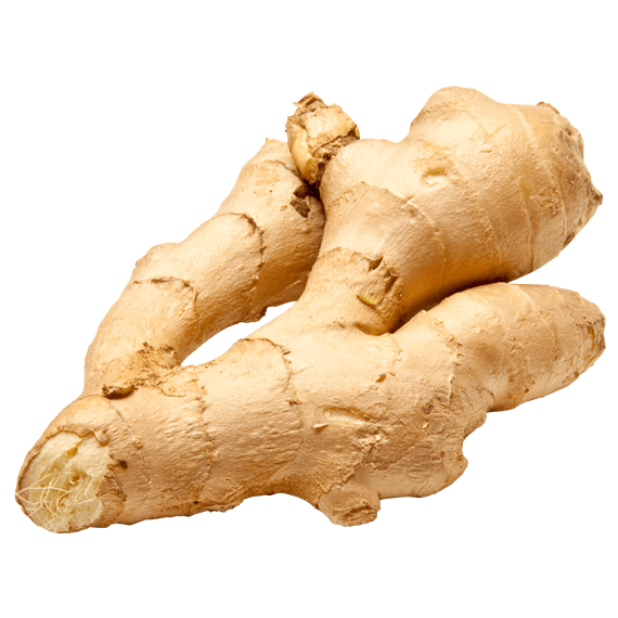 Ginger PNG Image