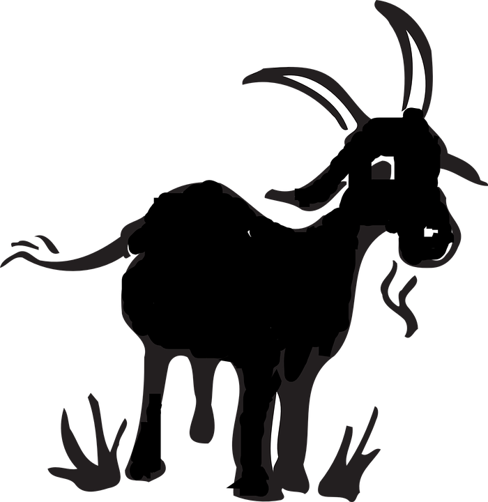 Vector Goat HD Image Free PNG Image. 