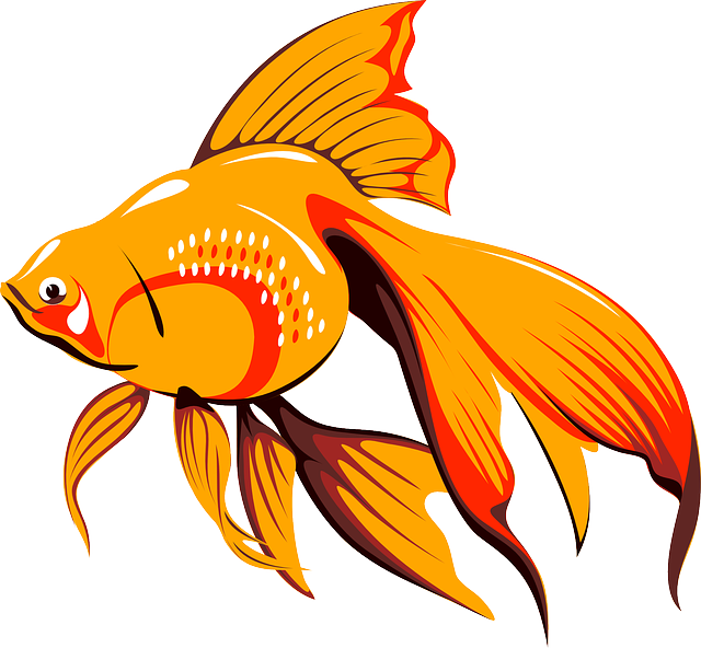 Goldfish PNG Image