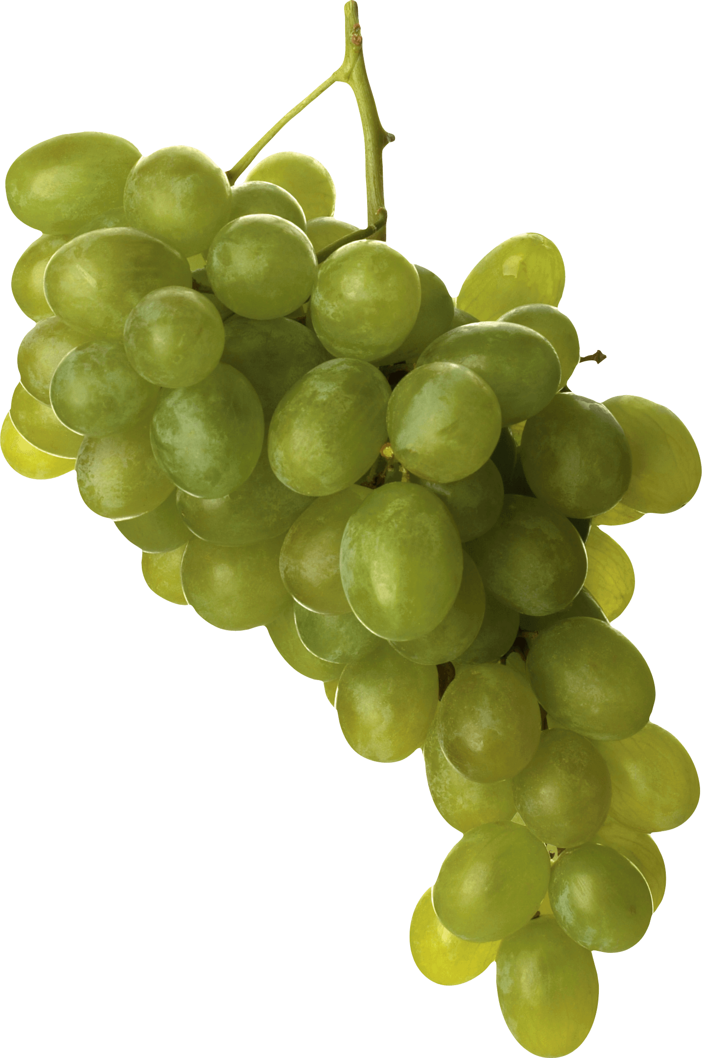 Green Grape Png Image PNG Image
