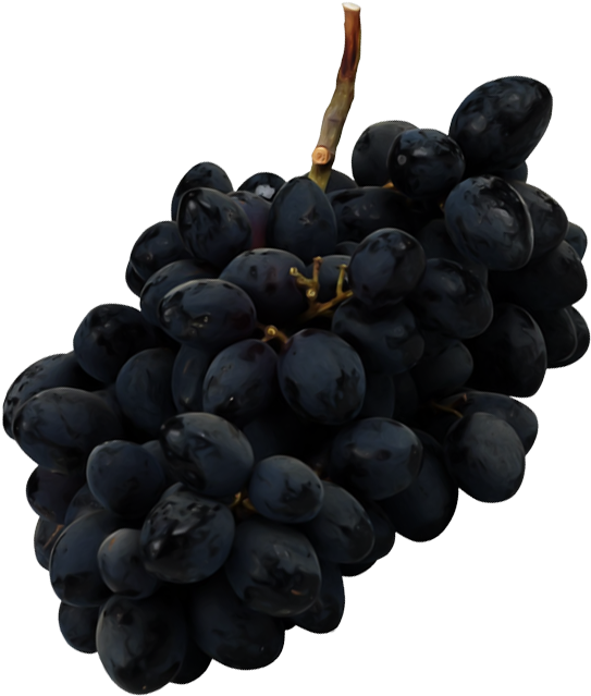 Black Grapes Bunch PNG Download Free PNG Image