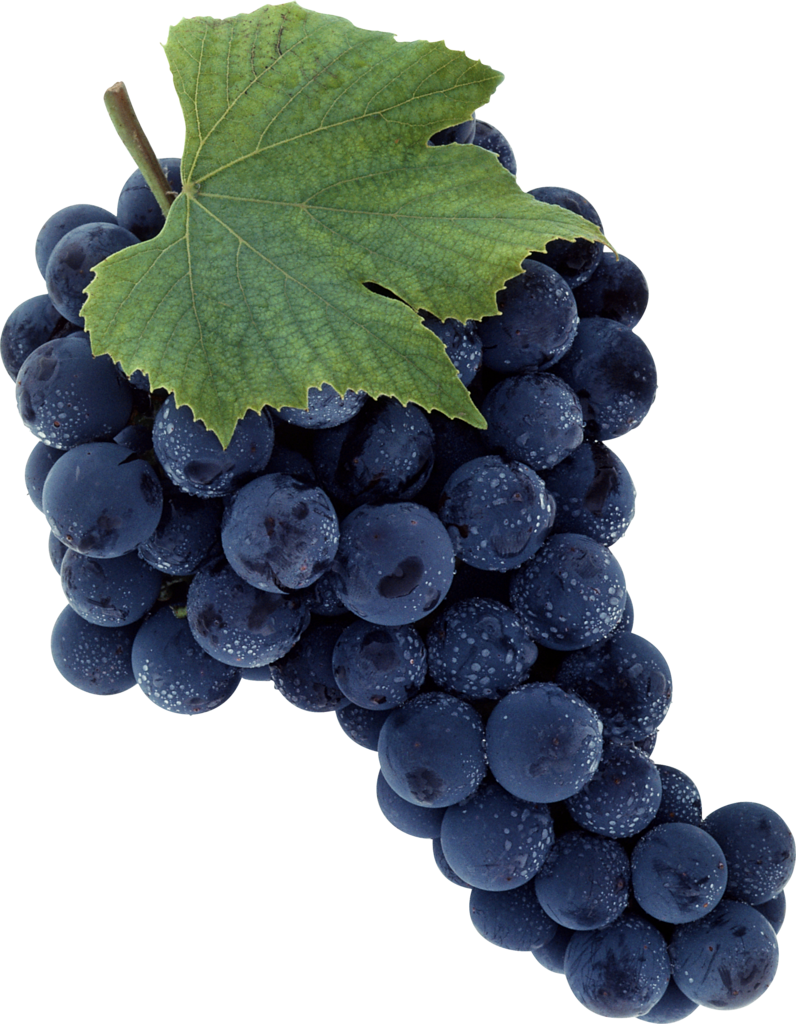 Leaves Black Grapes PNG File HD PNG Image