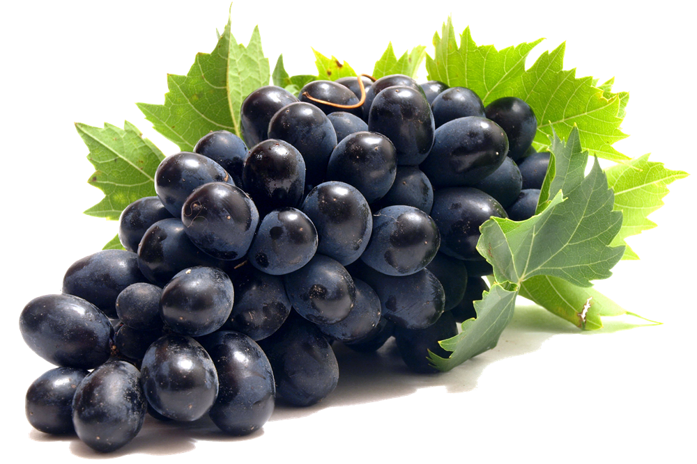 Fresh Black Grapes Free Download Image PNG Image