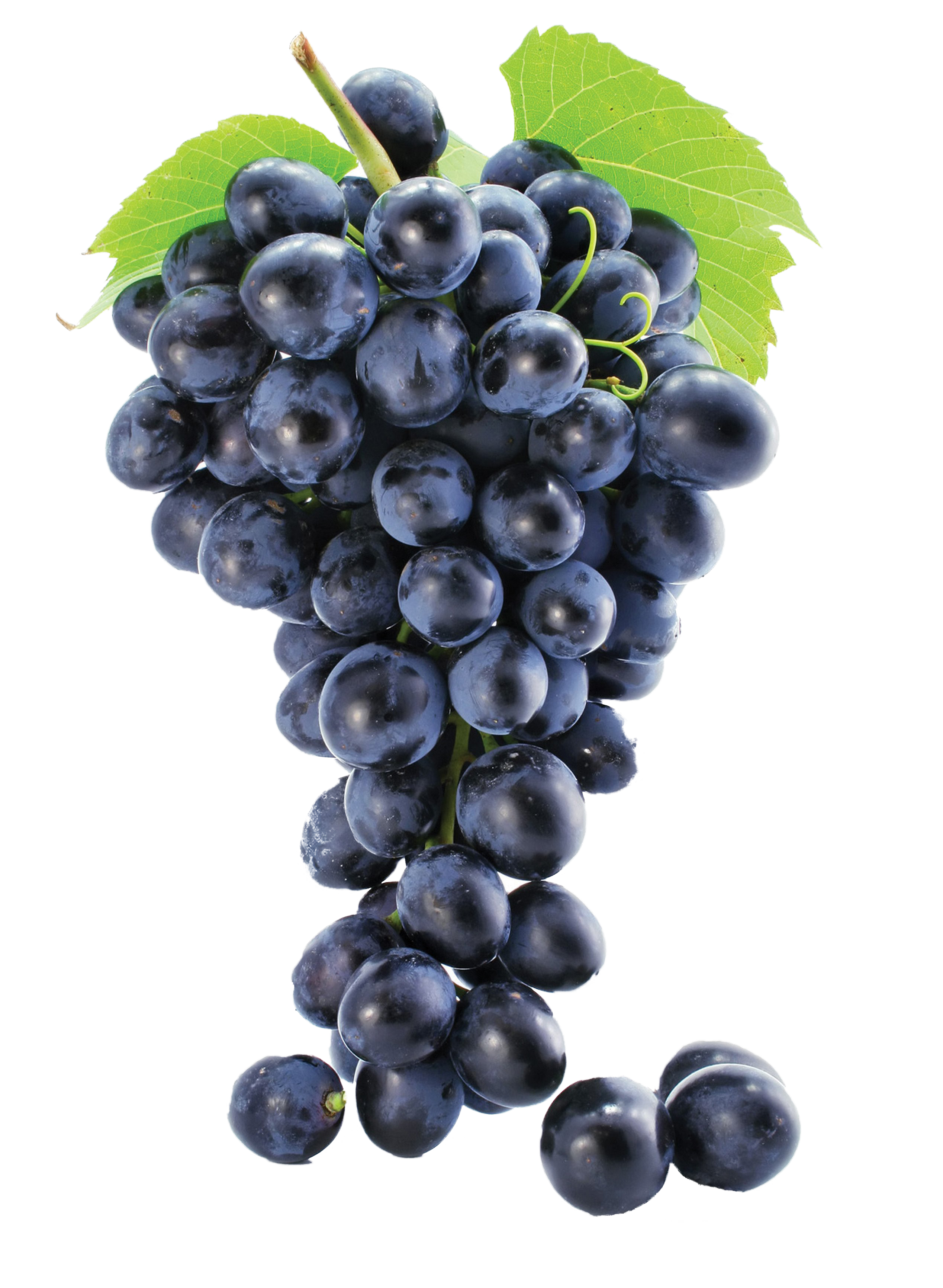 Photos Black Grapes Download HD PNG Image