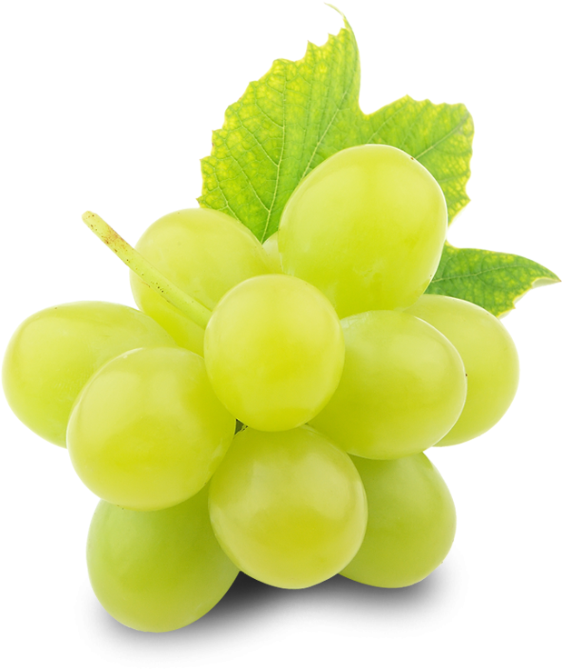 Green Organic Grapes PNG Image High Quality PNG Image