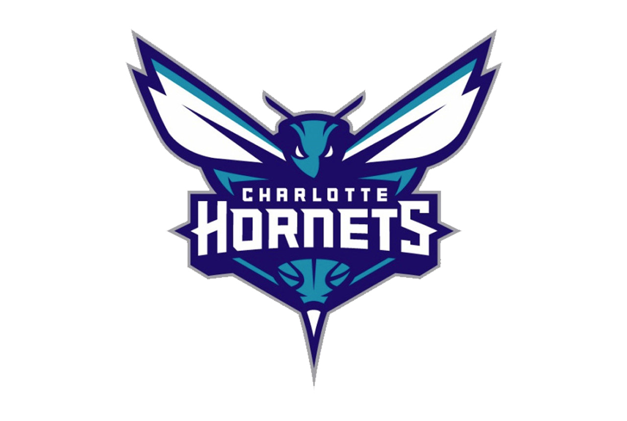 Charlotte Nba Hornets Line Logo Free Frame PNG Image