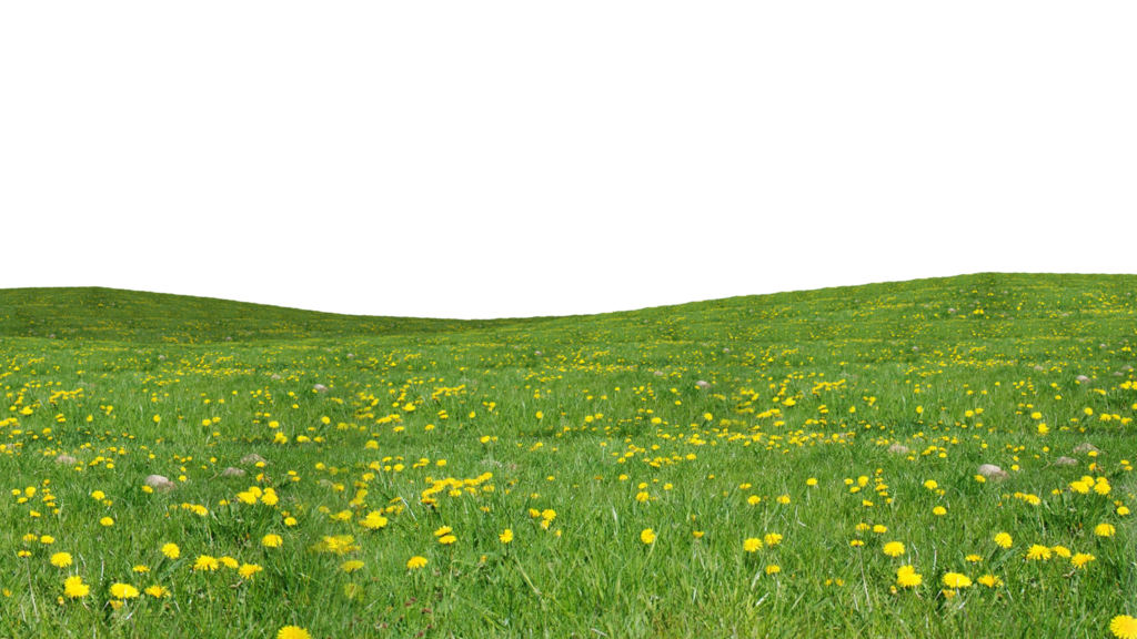 Grass Download Png PNG Image