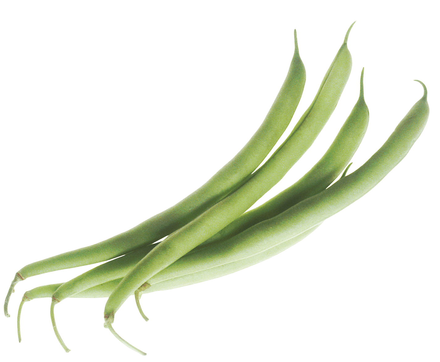 Vegetable Beans Green HD Image Free PNG Image