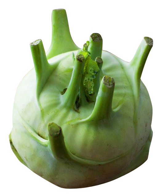 Kohlrabi Free PNG HQ PNG Image