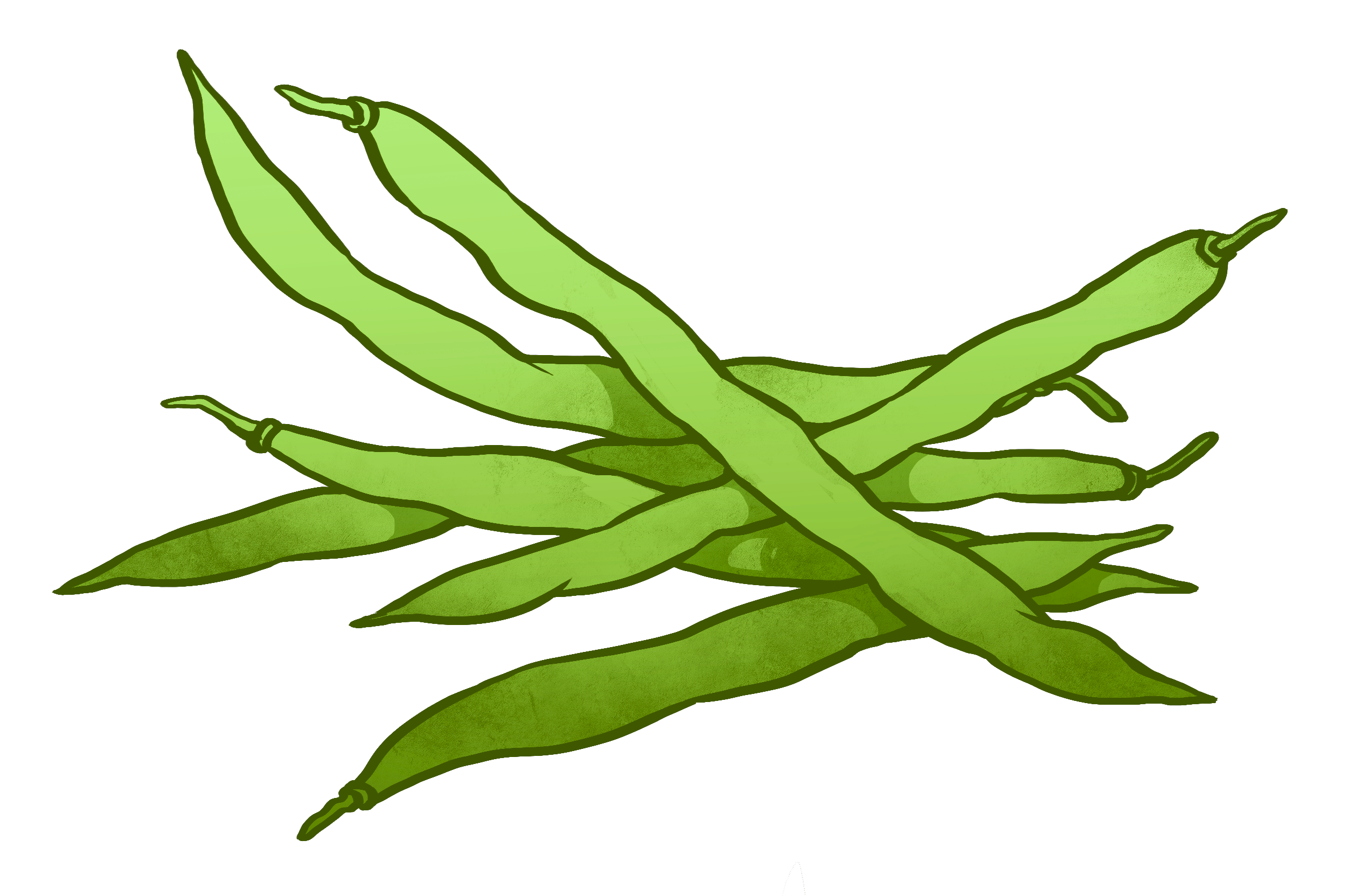 Green bean PNG Image