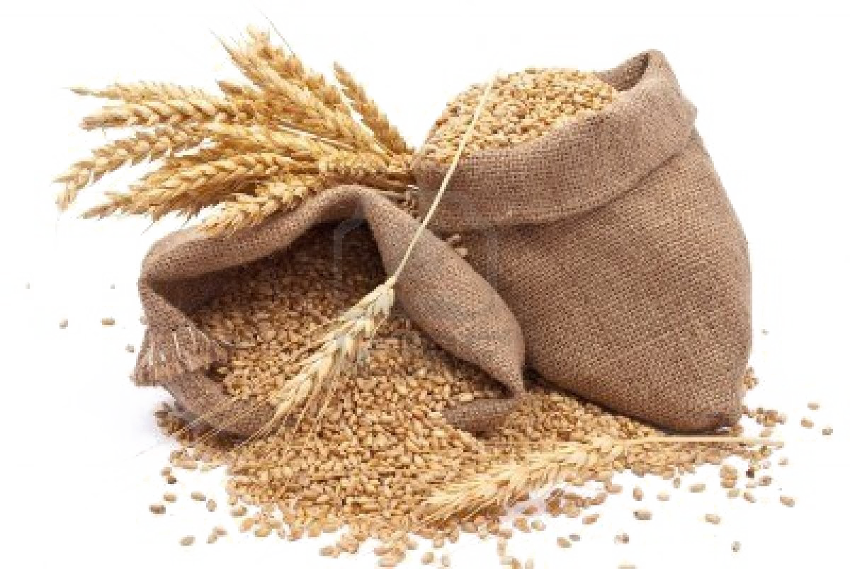 Grain Photos Free Download PNG HQ PNG Image