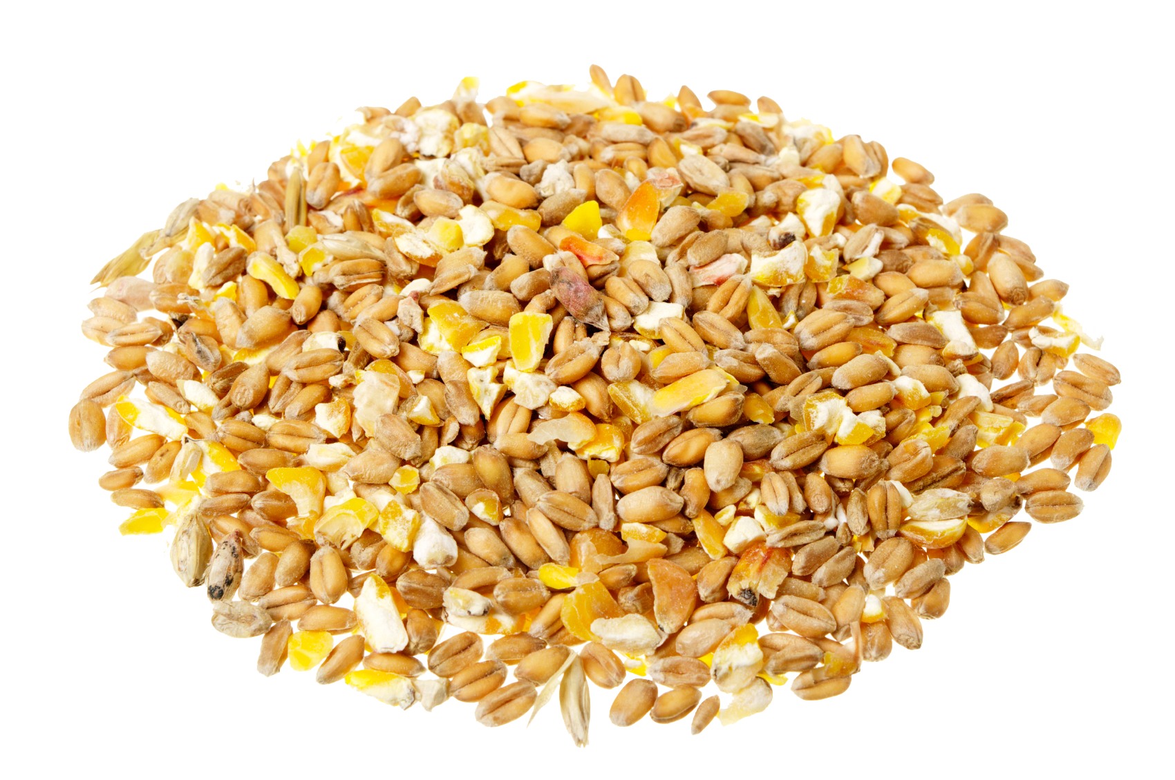 Grain Free Clipart HD PNG Image