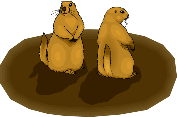 Groundhog Day California Sea Lion Seal Cartoon For Eve Party 2020 PNG Image