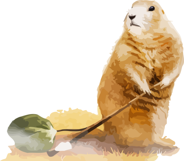 Groundhog Day Animal Figure Seal Earless For Eve Party PNG Image