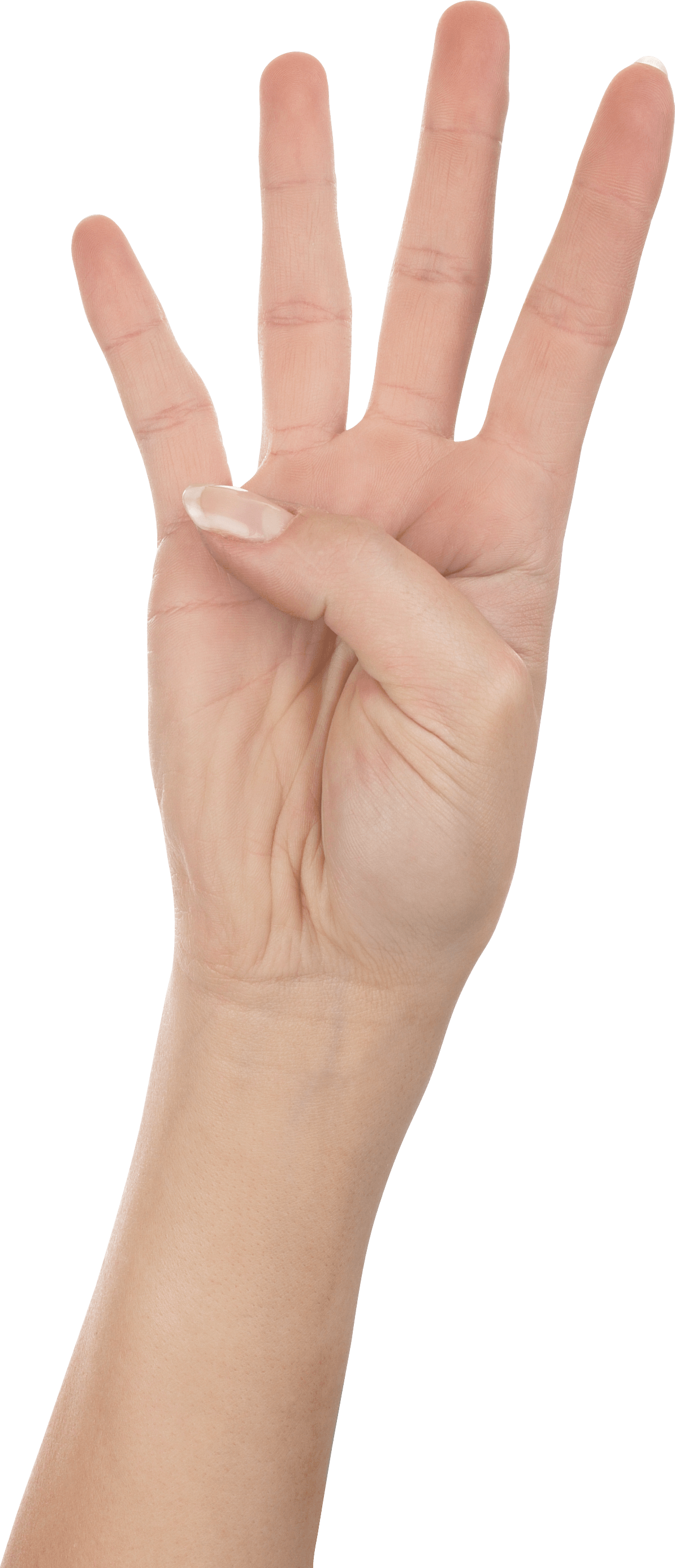 Four Finger Hand Hands Png Hand Image  PNG Image