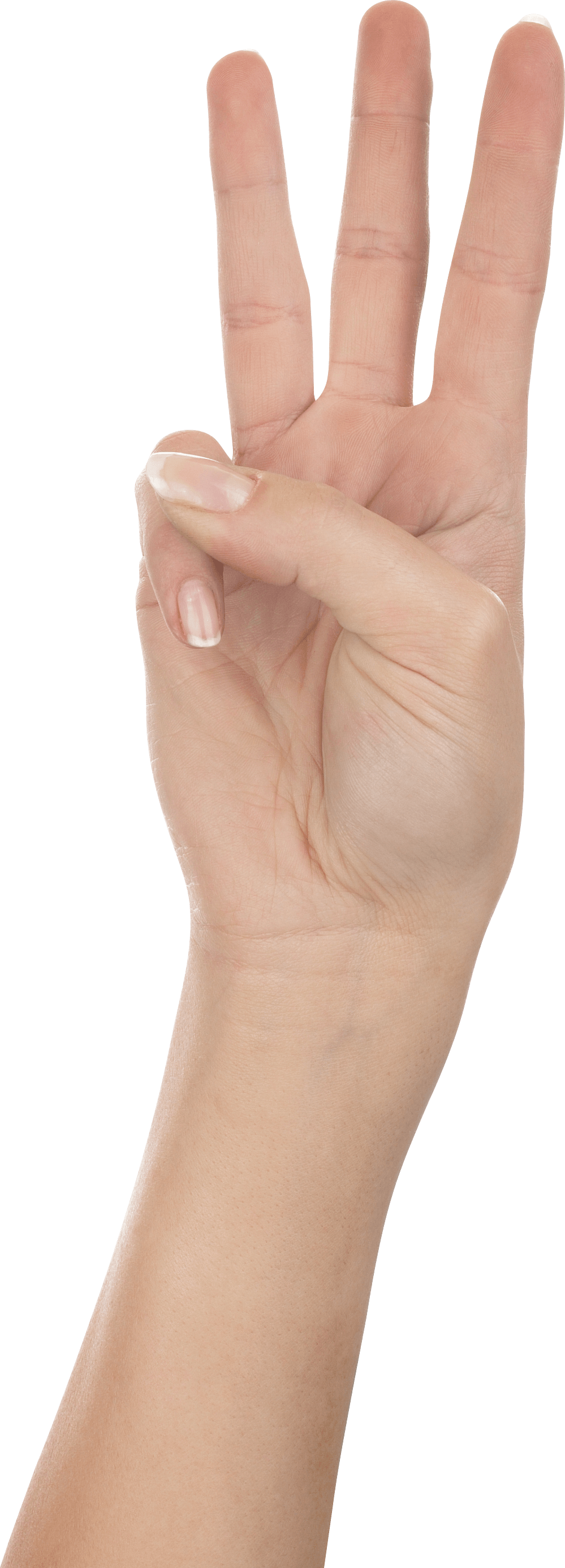 Three Finger Hand Hands Png Hand Image  PNG Image