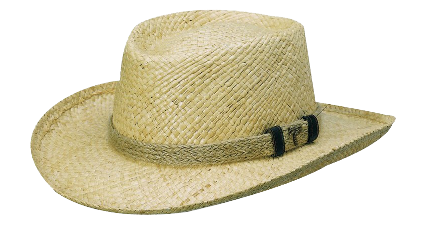 Raffia Hat PNG Image