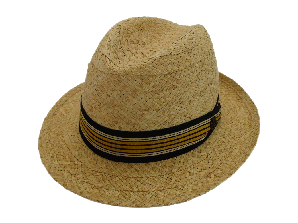 Raffia Hat Clipart PNG Image