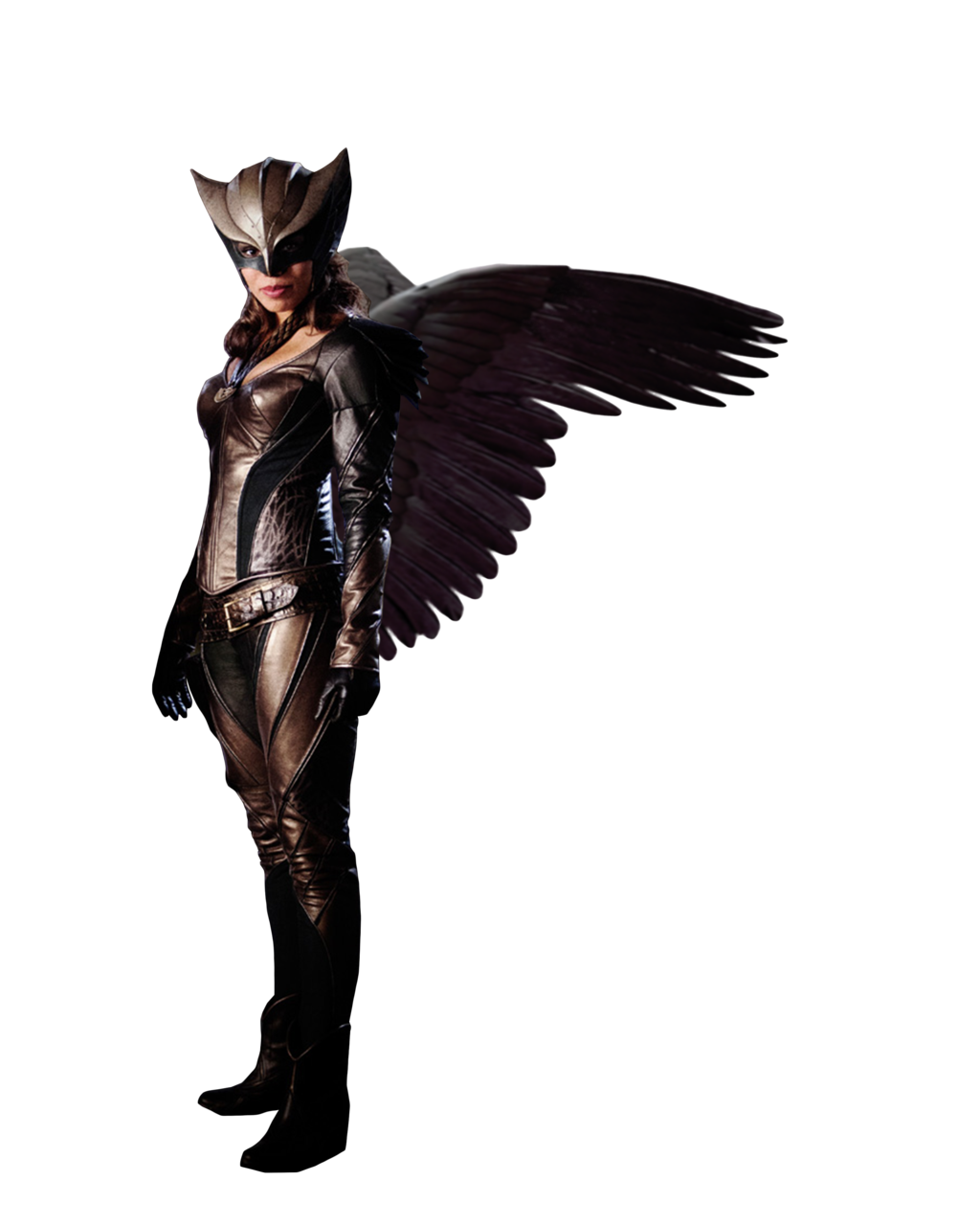 Hawkgirl Transparent Image PNG Image