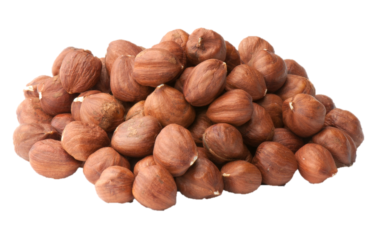 Hazelnut PNG Image