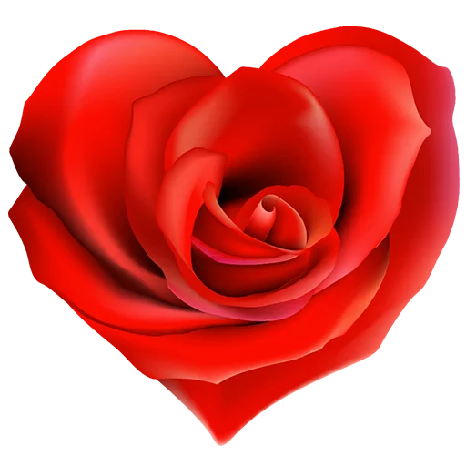 Rose Photos Heart Free Clipart HD PNG Image