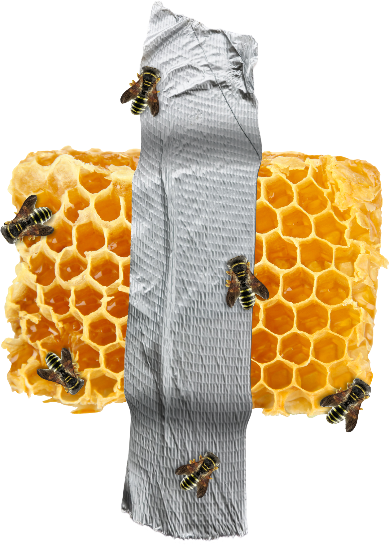 Organic Honeycomb Free Photo PNG Image