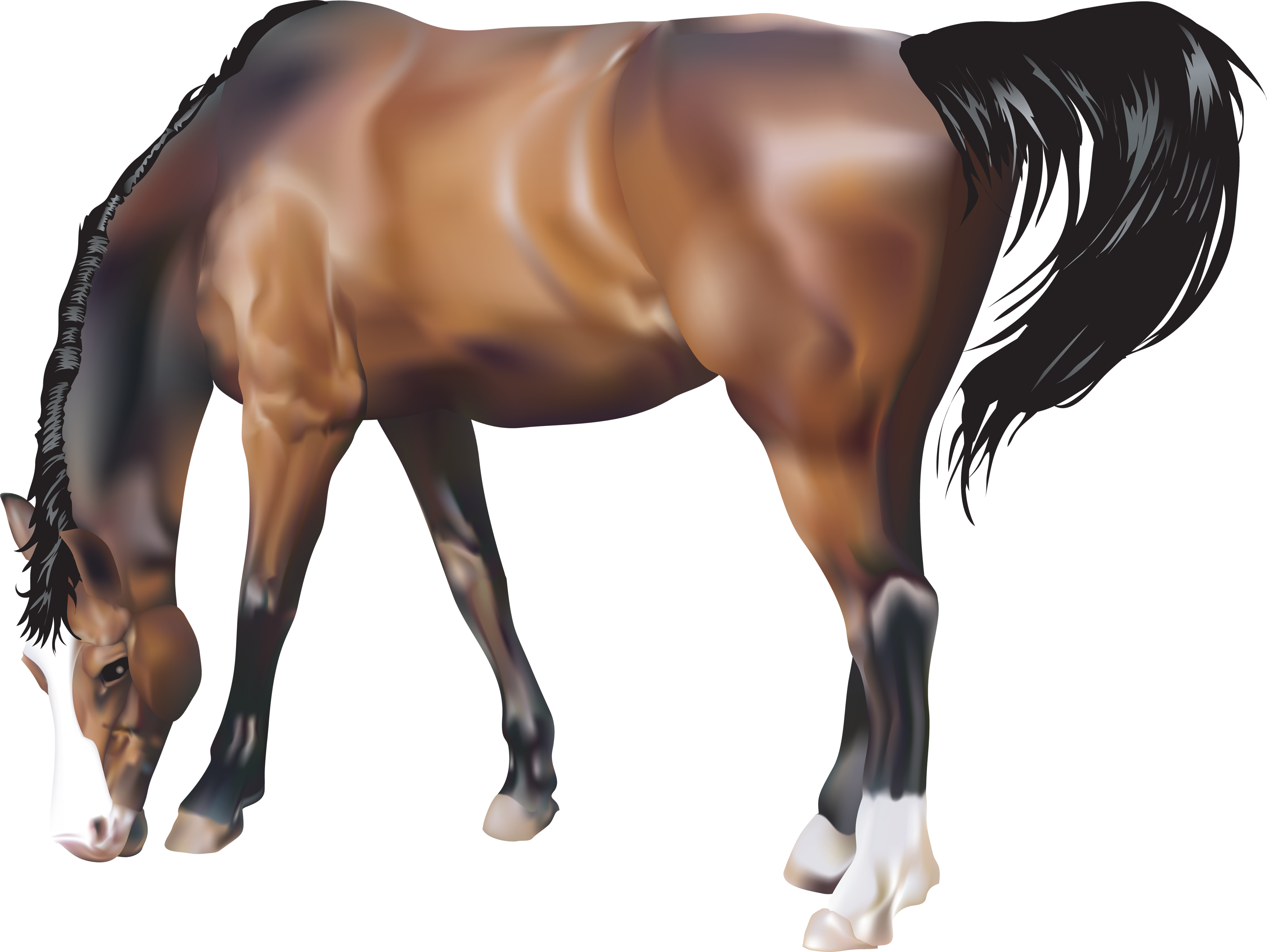 100 Image Png Transparent - idhau on twitter here is a transparent image of the roblox ceo roblox png stunning free transparent png clipart images free download