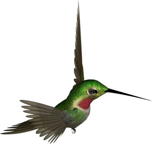 Flying Colorful Hummingbird PNG Free Photo PNG Image