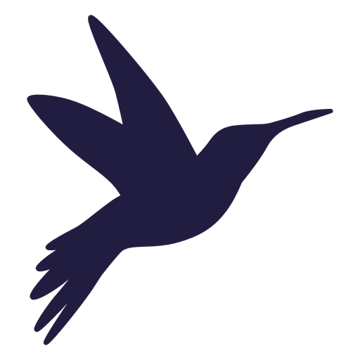 Flying Vector Hummingbird Free HQ Image PNG Image