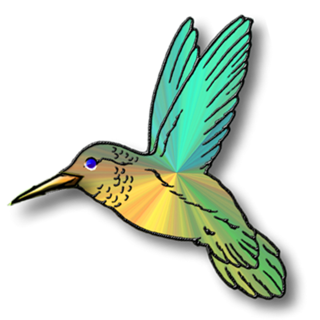 Flying Vector Hummingbird Download HD PNG Image