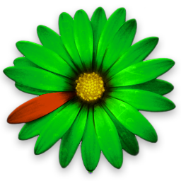 Icq logo PNG Image