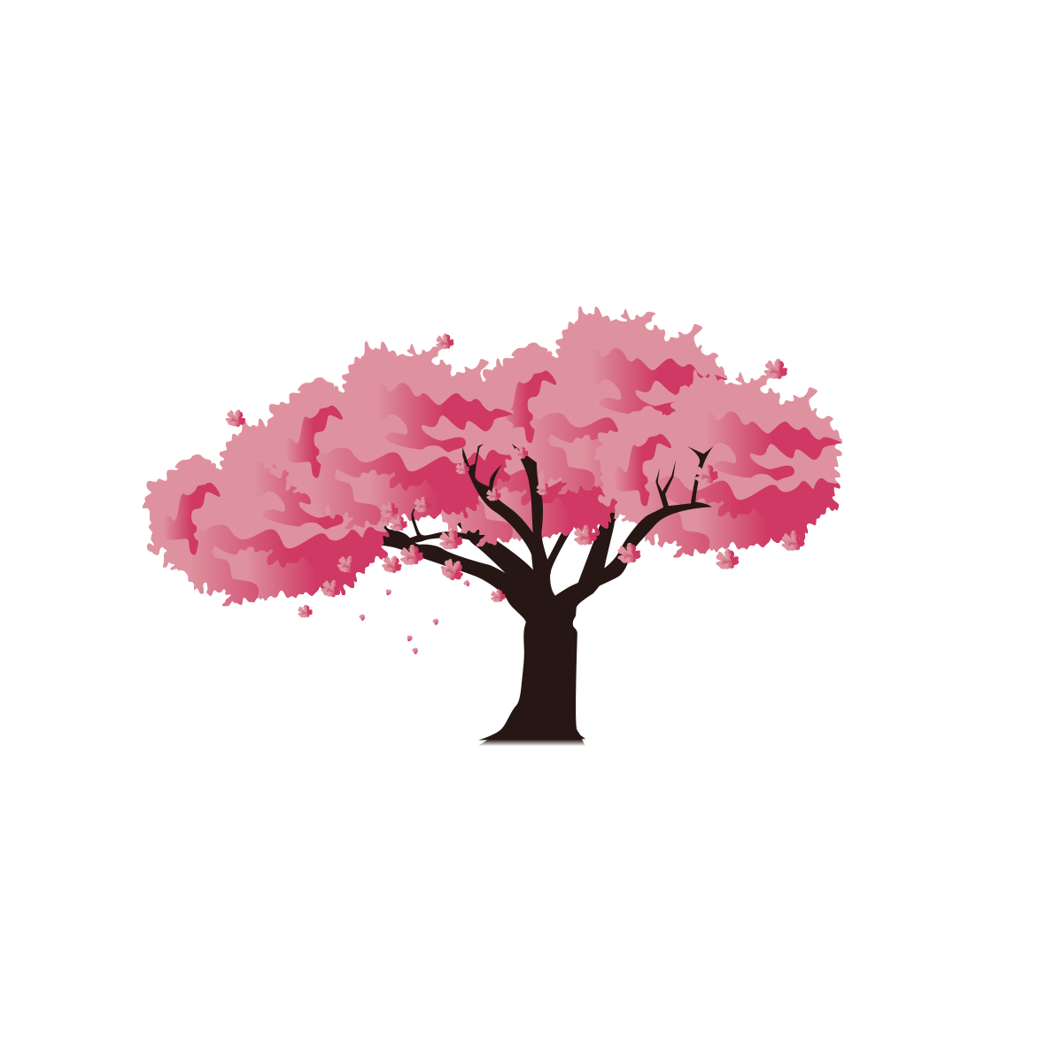 Pink Blossom Cherry National Festival Japan Icon PNG Image