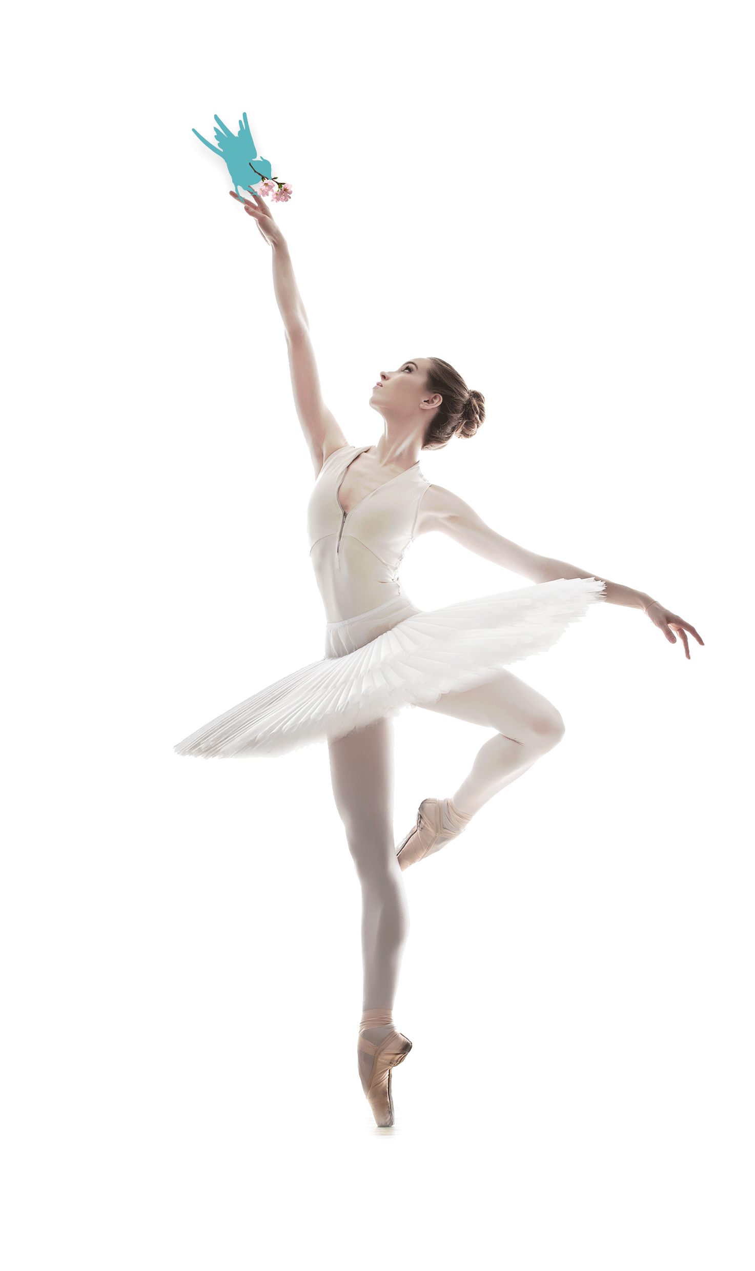 Ballet Dancer Picture Free Download PNG HD PNG Image